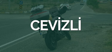 Cevizli Kurye